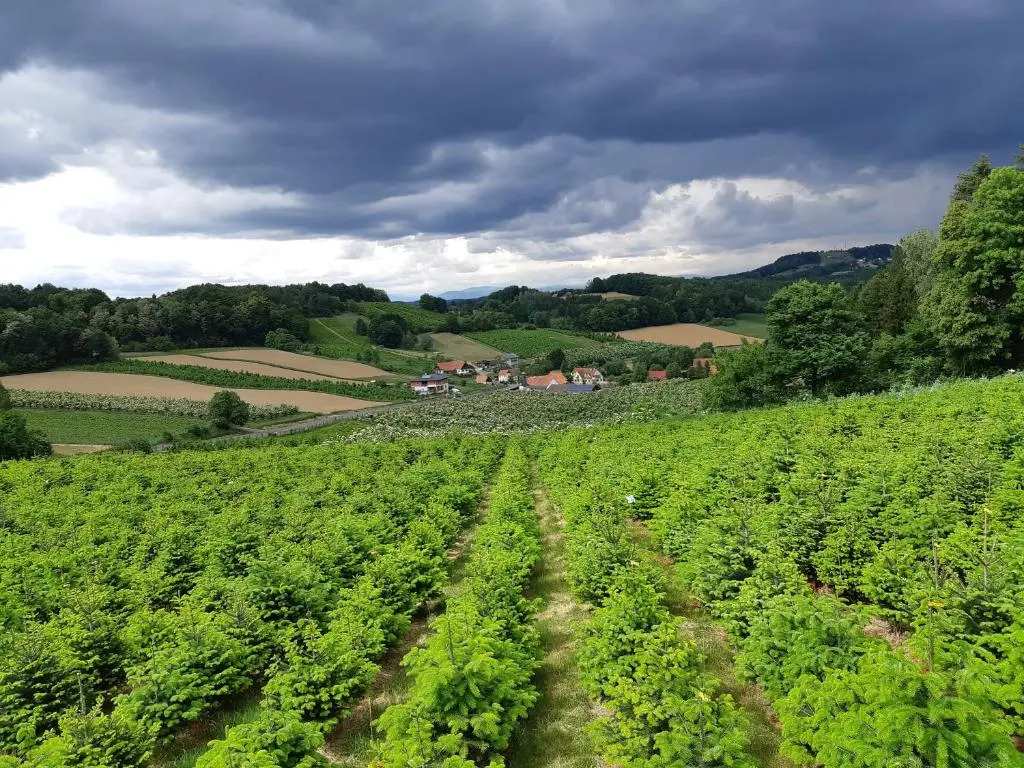 Bauernhof Grain
