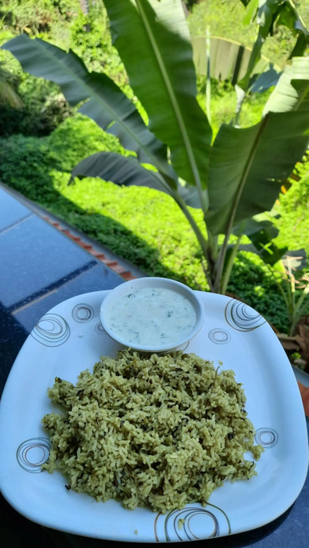 Tropical Wave Hostel Morjim Goa