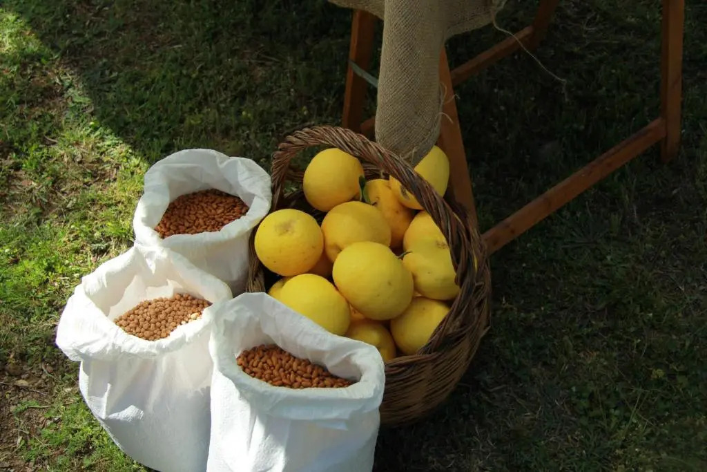 Il Giardino nellOrto