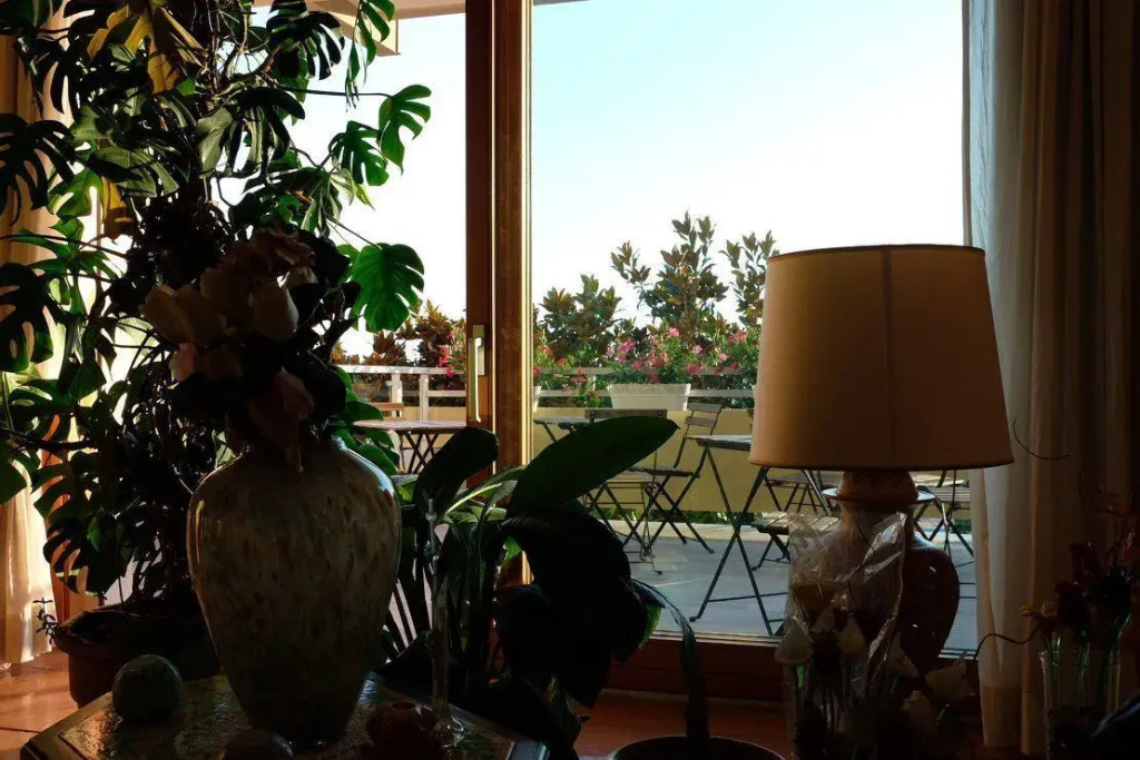 Suite Inn