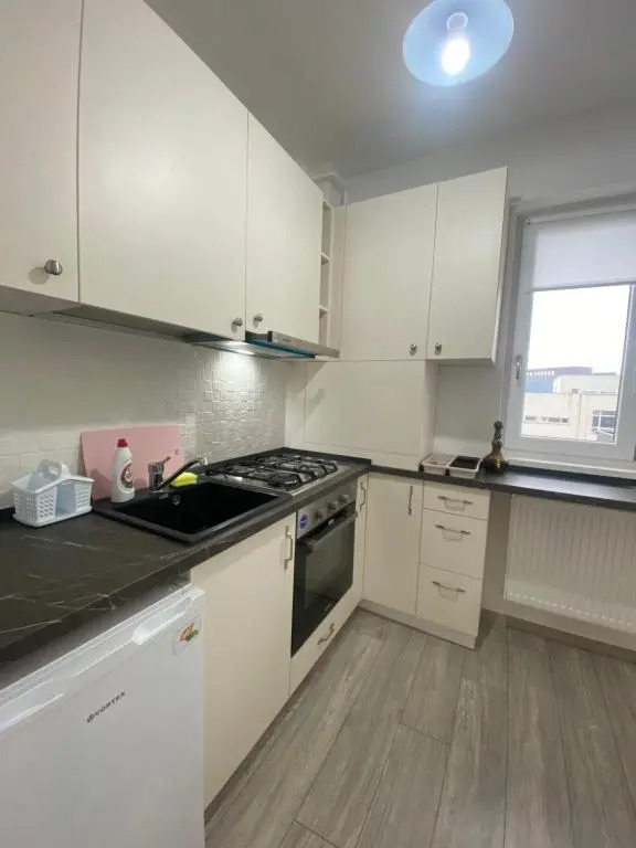 Q Apartaments near Palas Mall