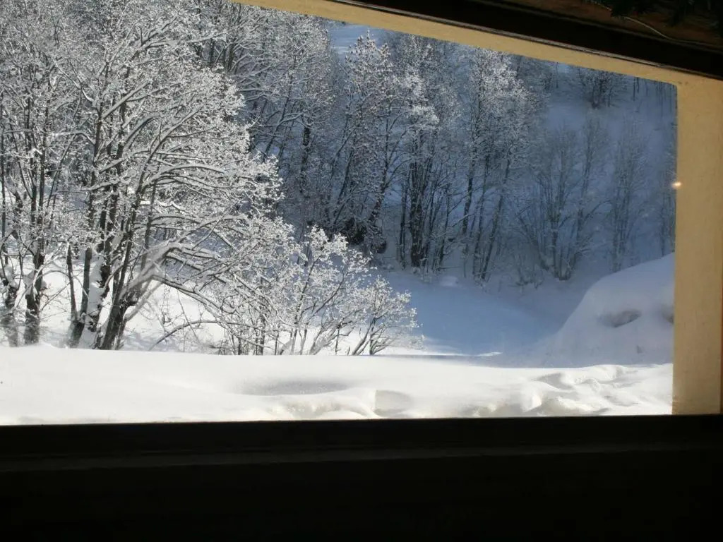 Appartement Valloire, 4 pièces, 8 personnes - FR-1-263-155