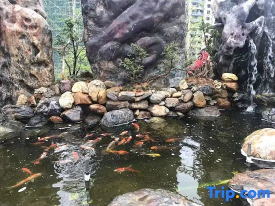 Vienna International Hotel (Longsheng Longji Branch)