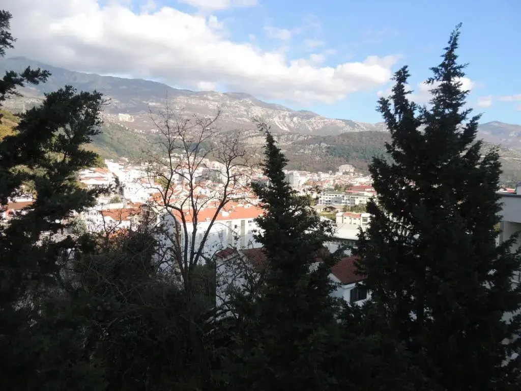 Villa Budvanka Guesthouse