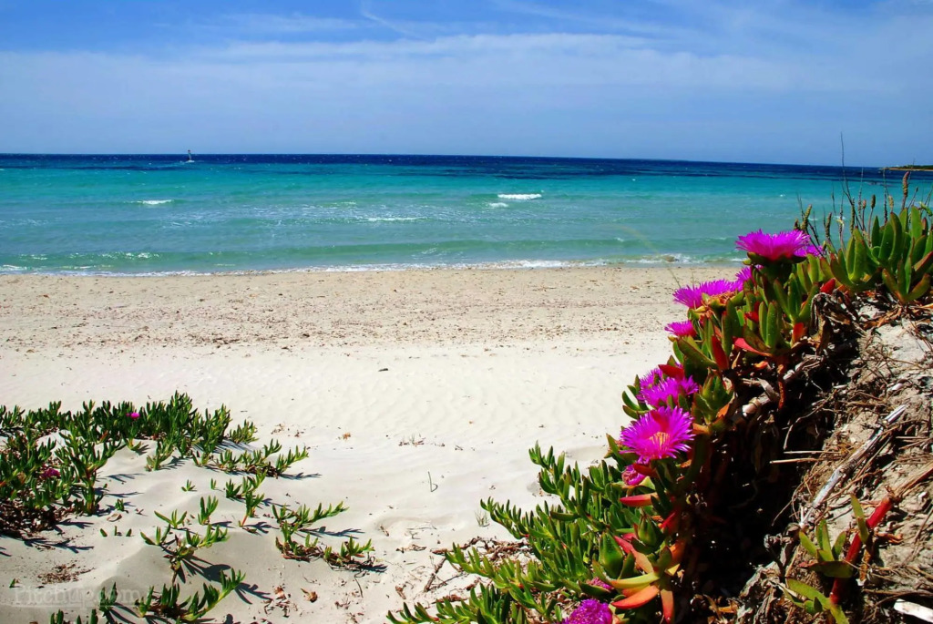 Holiday home with sea view 3 minutes walk from the seashore of Is Arenas beach and  5 minutes on foo-Casa della Salsedine