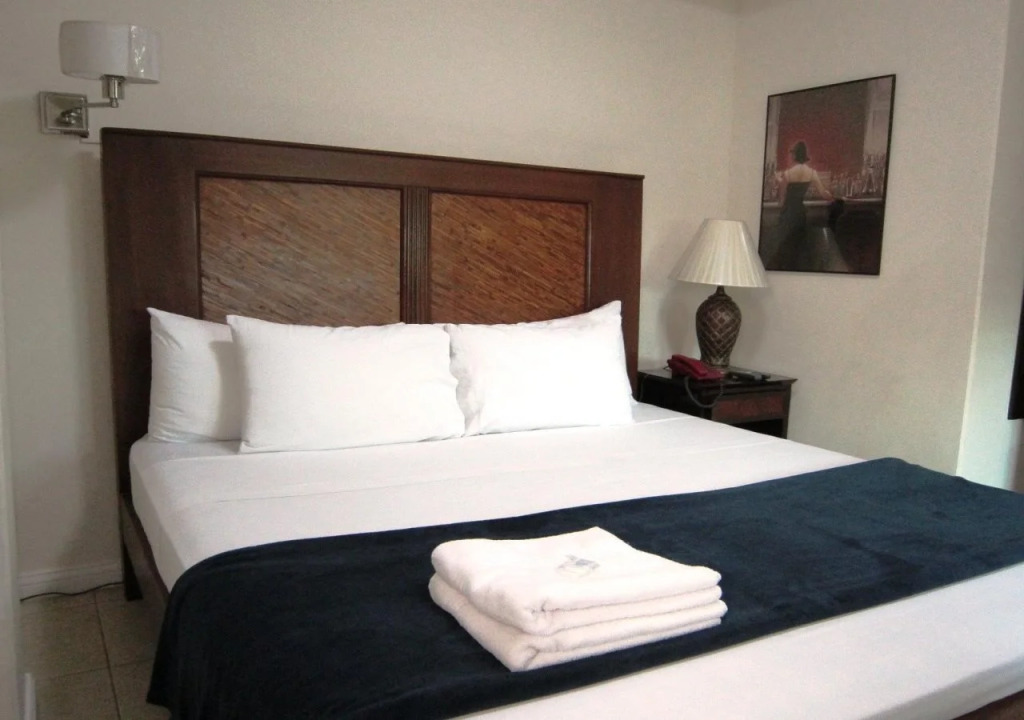 Hotel Le Carmen