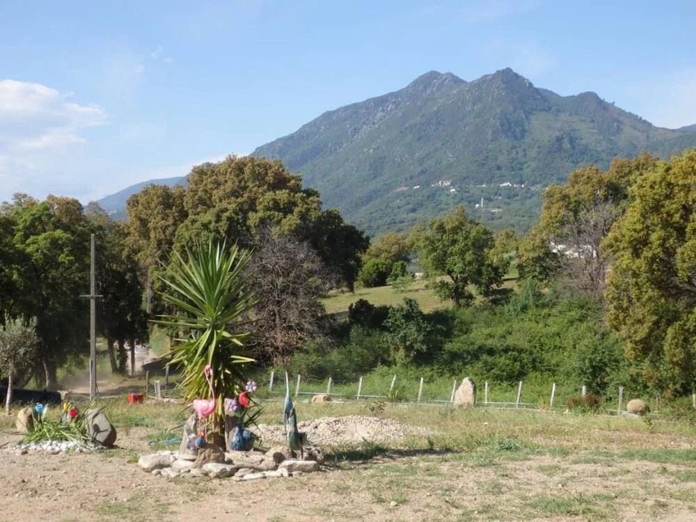 Apartment With 3 Bedrooms in Santa Lucia di Moriani, With Furnished Ga