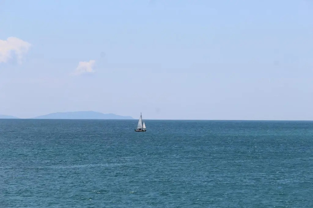 Arcadia 55