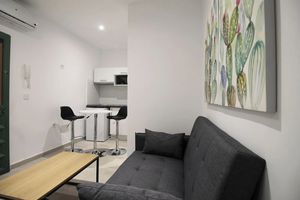 Apartamento con Puerta a la Calle en Bajos con A/C SANBEX