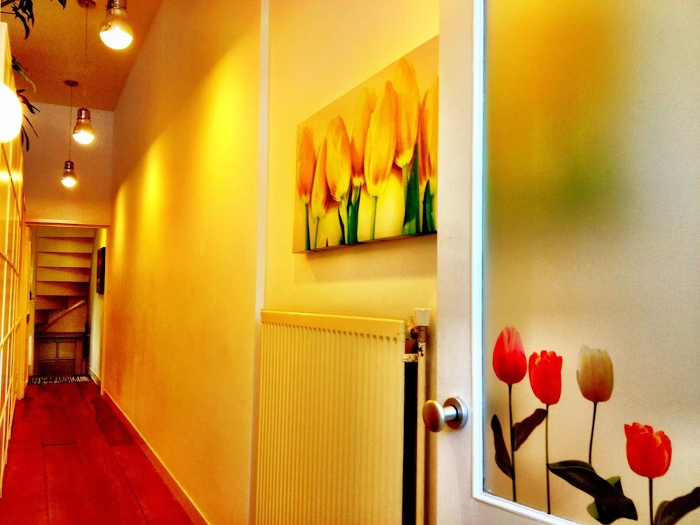Tulip of Amsterdam