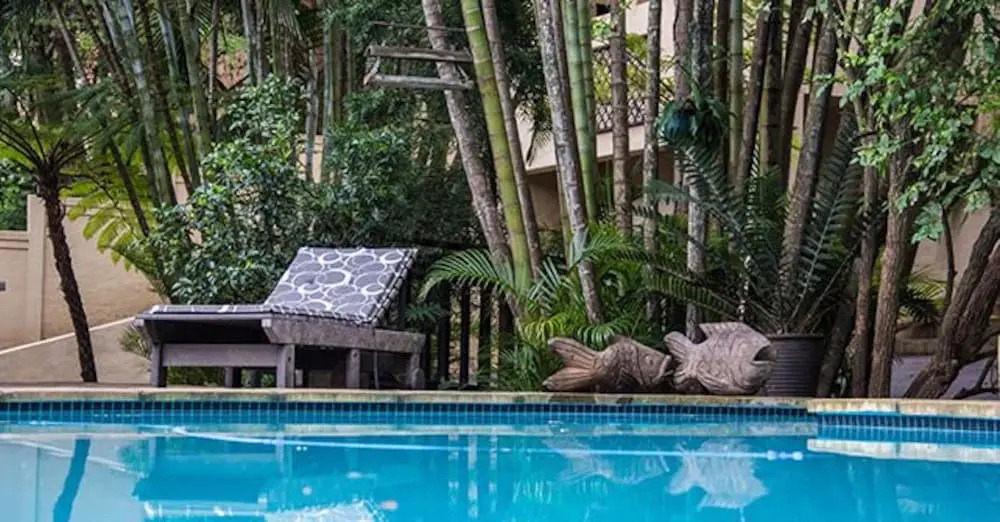Beach Forest Lodge