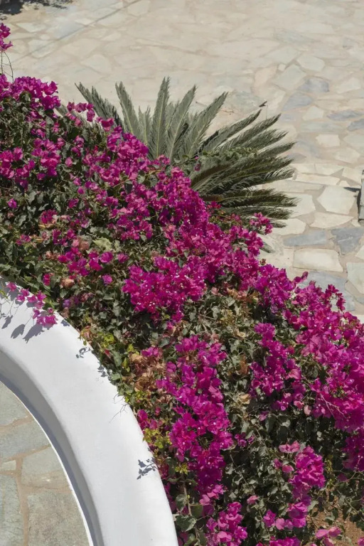 KAMEO, Antiparos