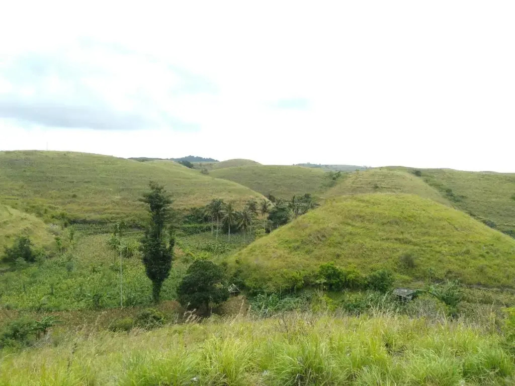 Exotic private glamping