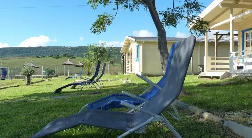 Maryvacas