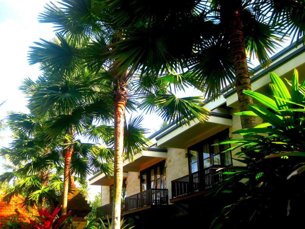 Villa Sonia Bisma