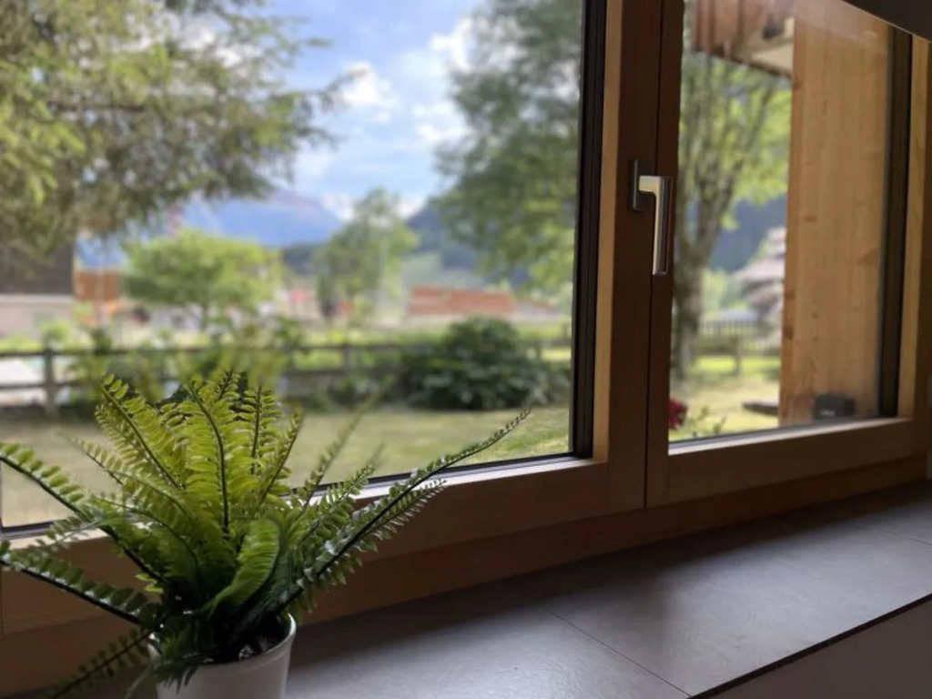 Apartment  Fiesch