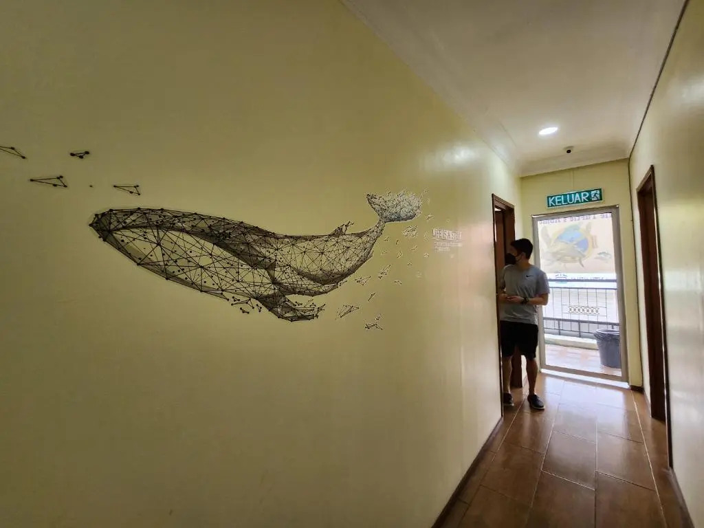 小海龟 Little Turtle Home