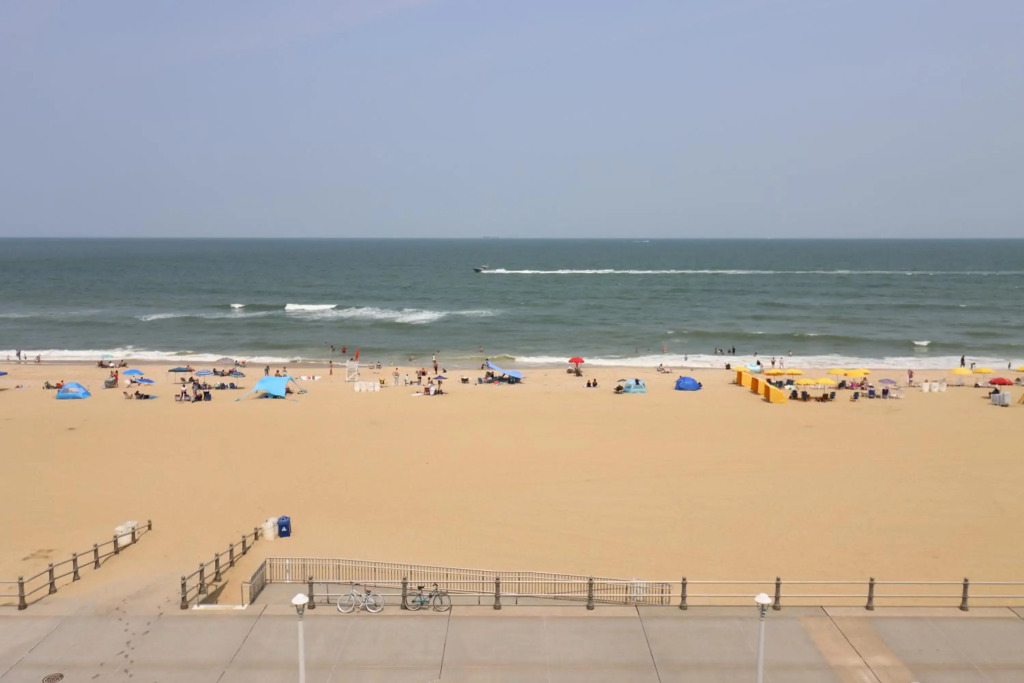 Oceanfront beach, sky, & dolphins