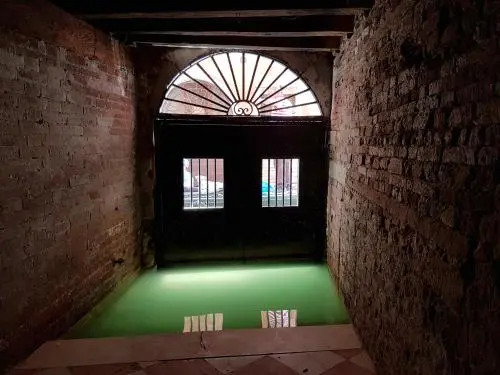 WellVenice Fenice