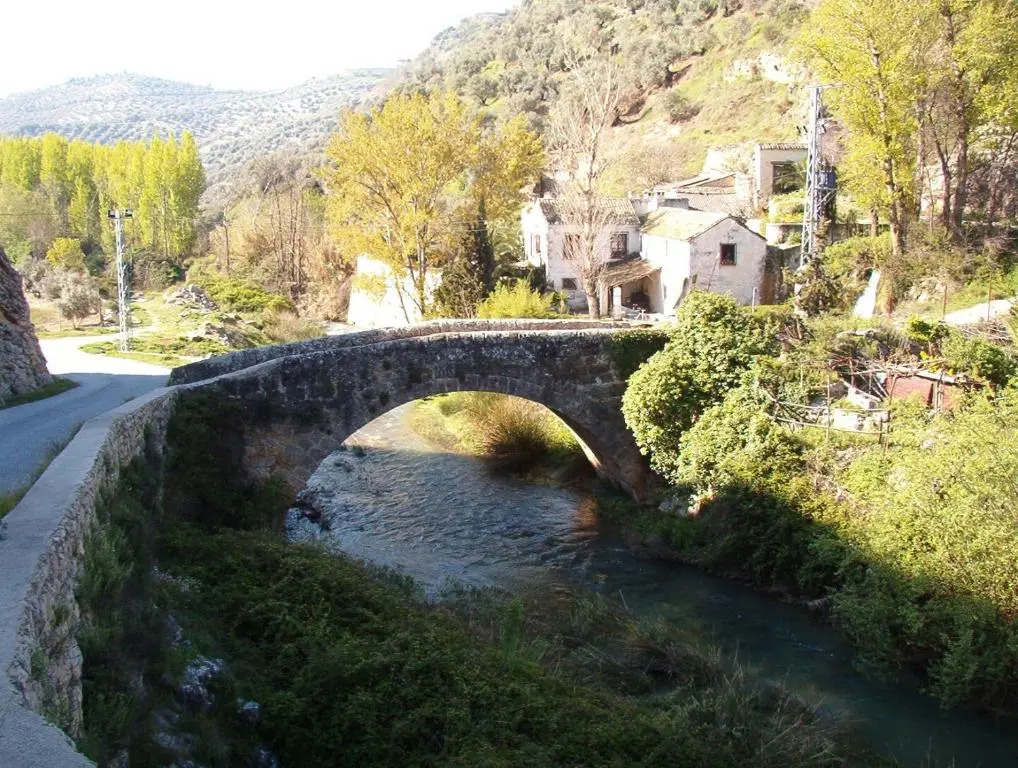 Columbaira
