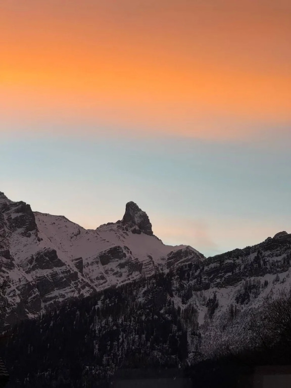 Little Chalet Piguet