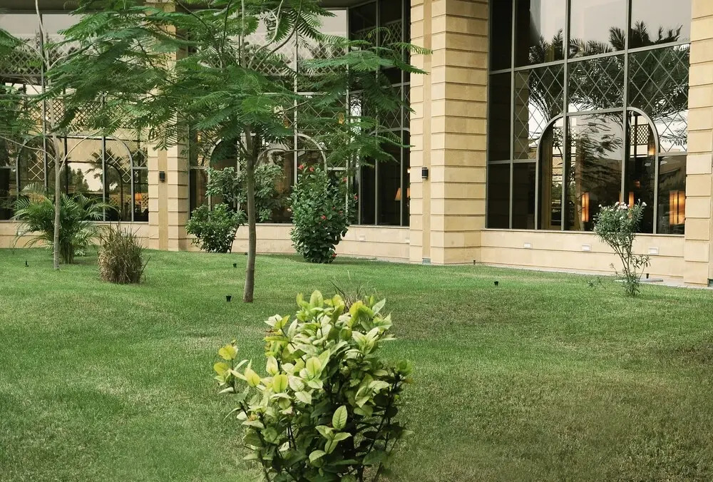 The Apartments