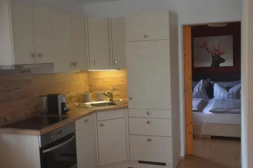 Kitzbhel Apartments element3