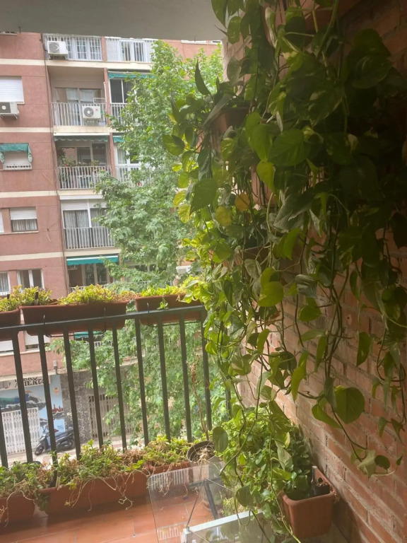 Apartamento Poeta Zorrilla
