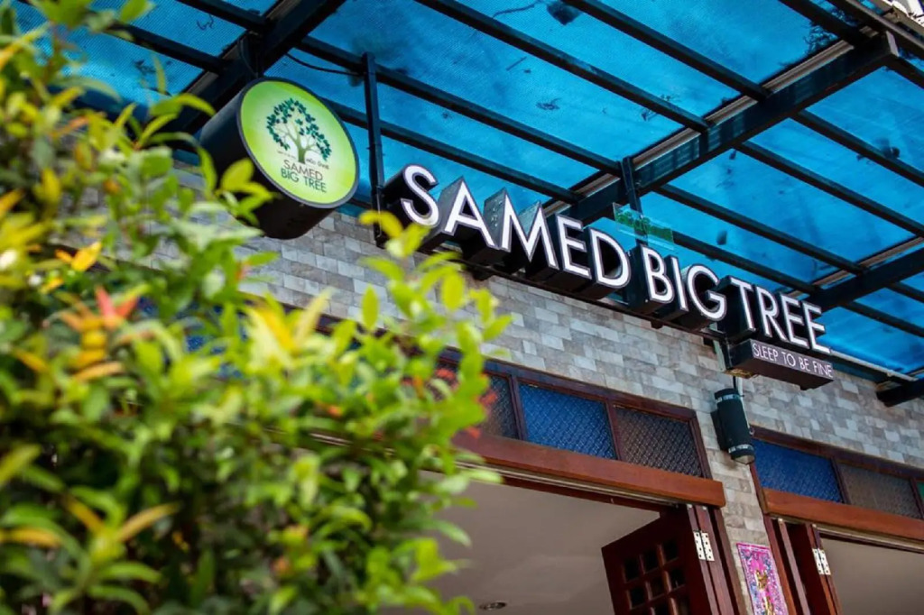 Samed Big Tree