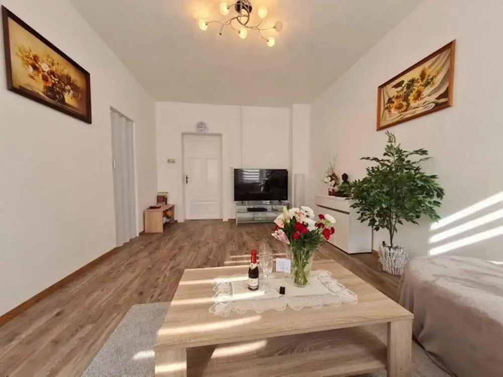 Flat in Zwickau Near August Horch Museum