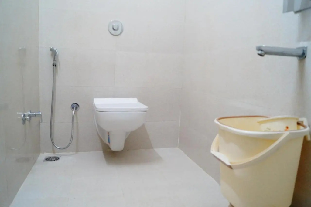 Hotel Shree Shyam International
