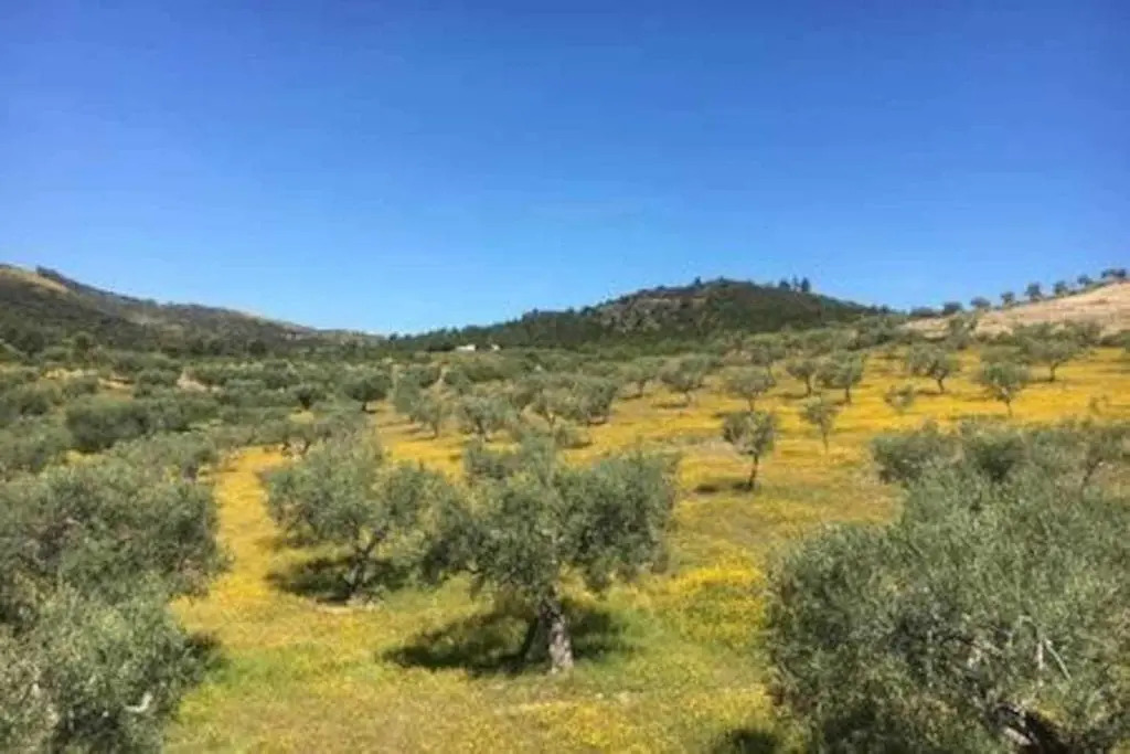 Quinta dos Avidagos - AgroTurismo, Mirandela