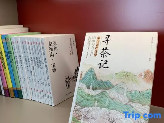 Shandong Hotel (Zhengding Ancient City South Gate Longxing Temple)