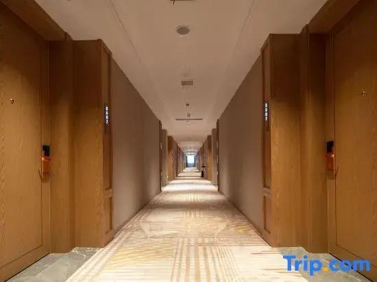 Vienna Hotel Yueyang Zhonghua Giant Panda Garden Branch