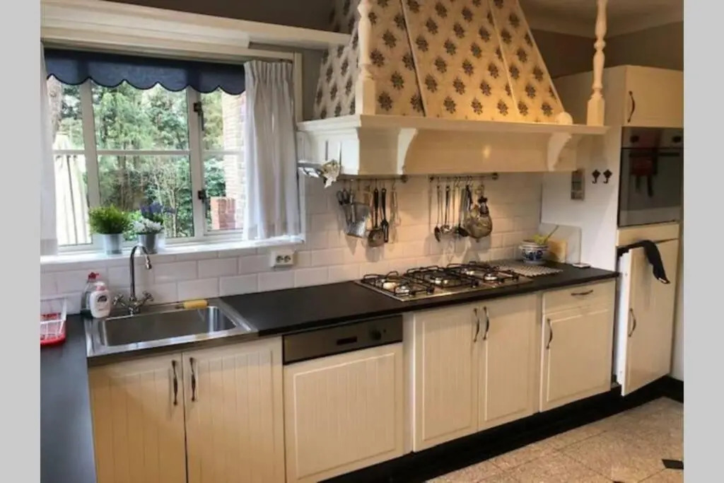 Vrijstaande rietgedekte villa nabij uitvalswegen