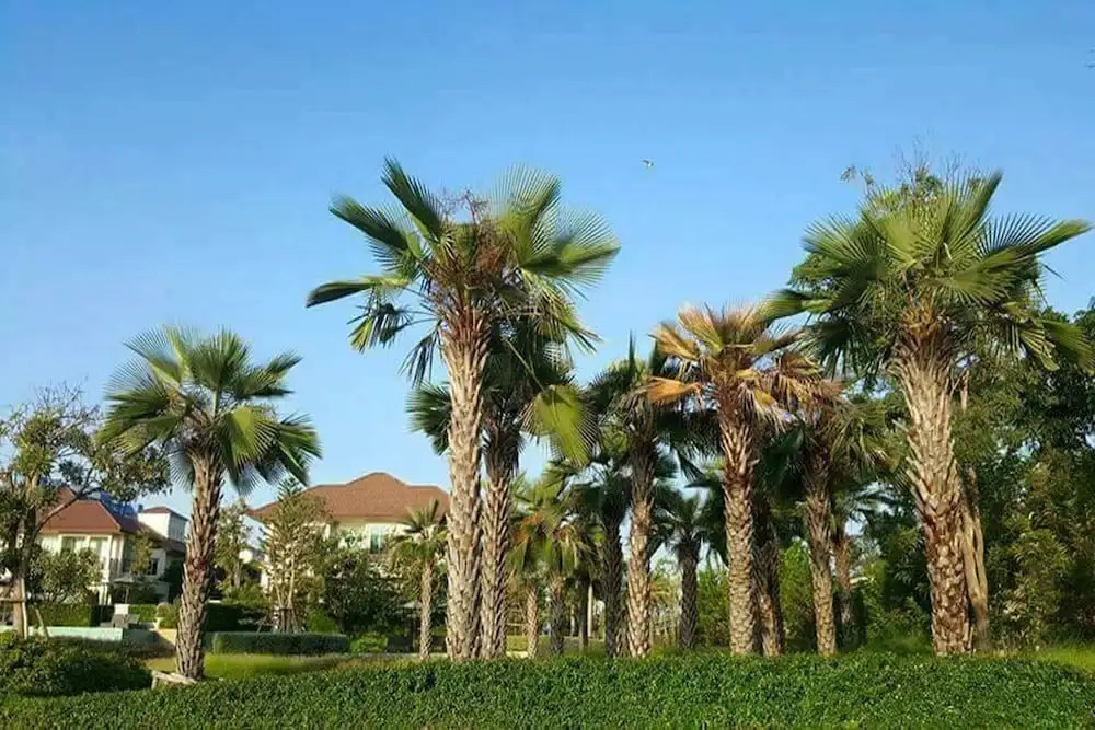 Panorama sea view at Boulevard Cha-am