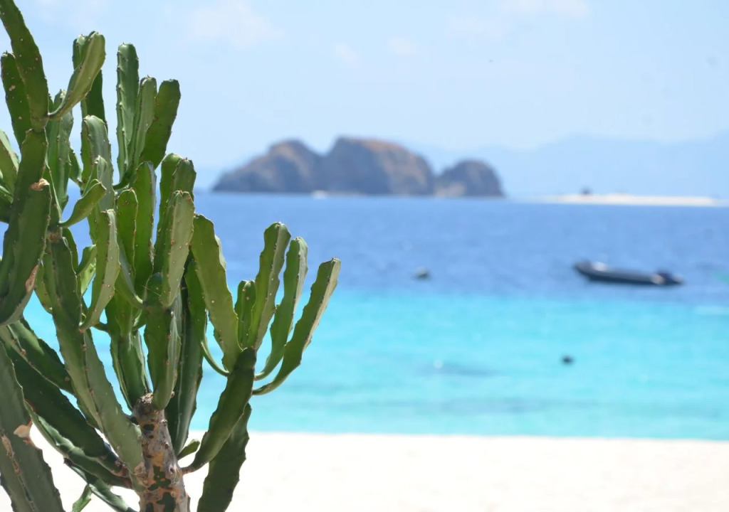 Discovery Coron
