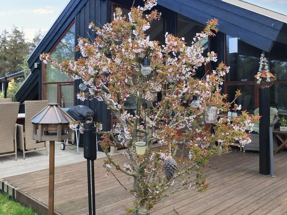 6 Person Holiday Home in Skagen