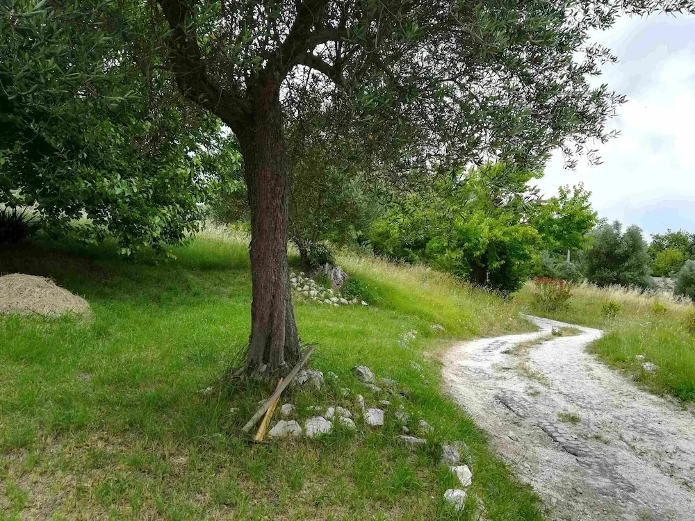 Marche B&B