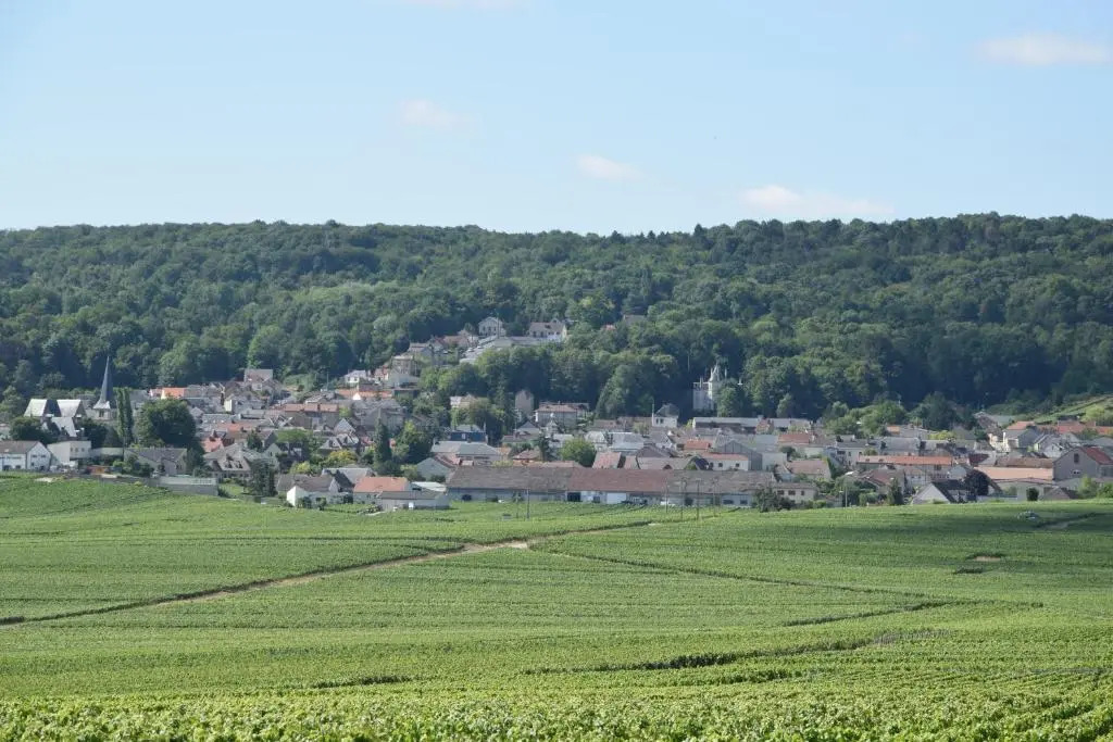 Rêve Champenois Chambres dHôtes