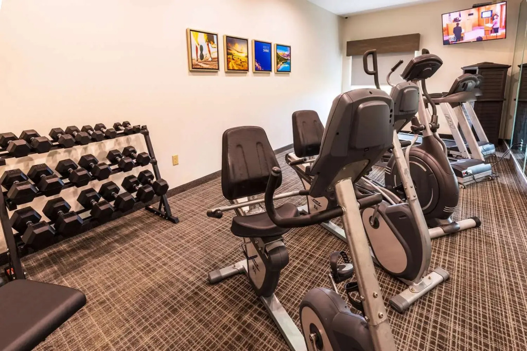 Comfort Inn & Suites New Iberia - Avery Island