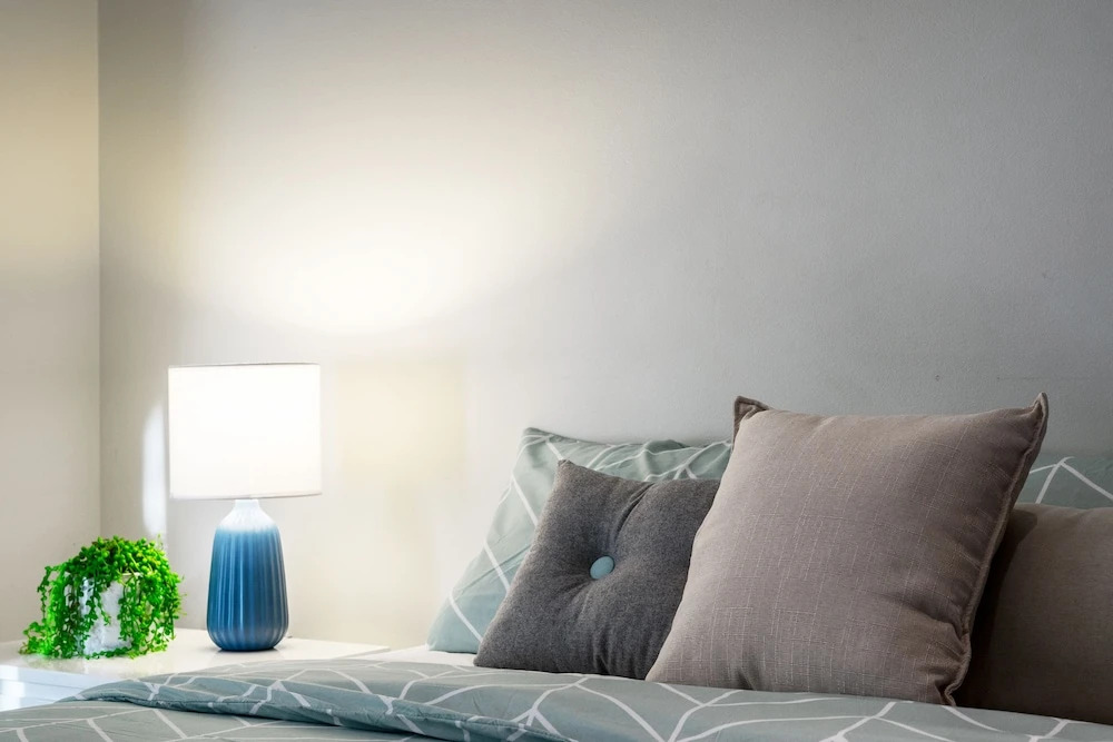 Roomerang at Focus Apartments 39