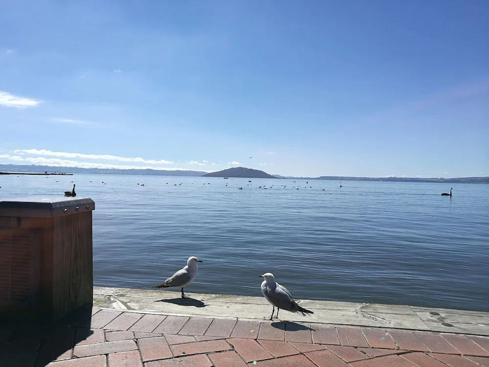 Great view near Rotorua lake
