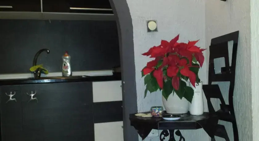 Apartment Hedonist