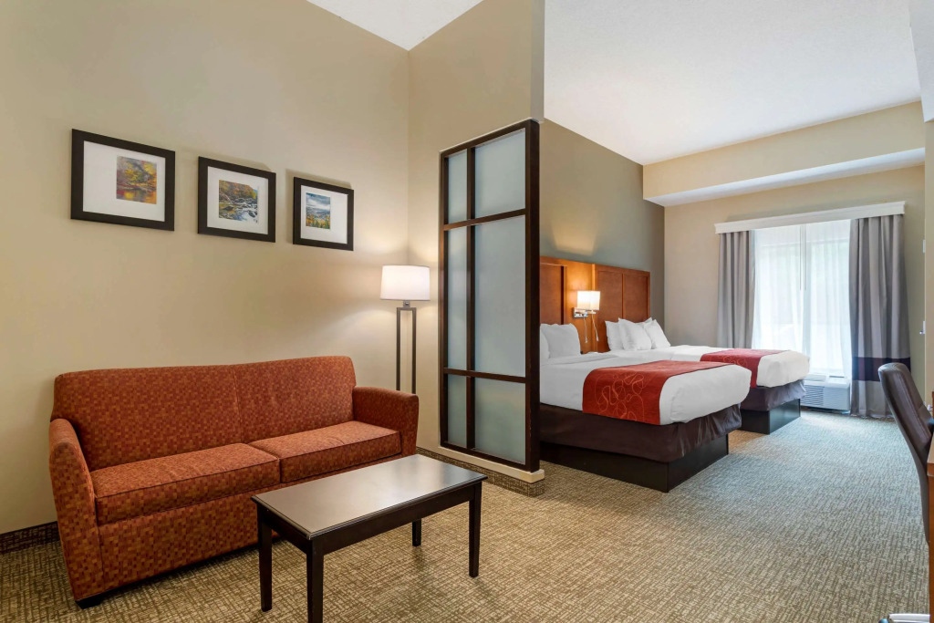 Comfort Suites Kingsport South