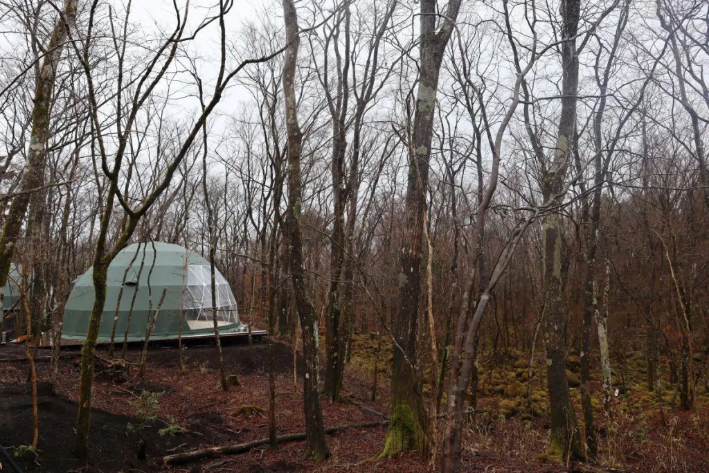 Moss Jurigi Camp Resort