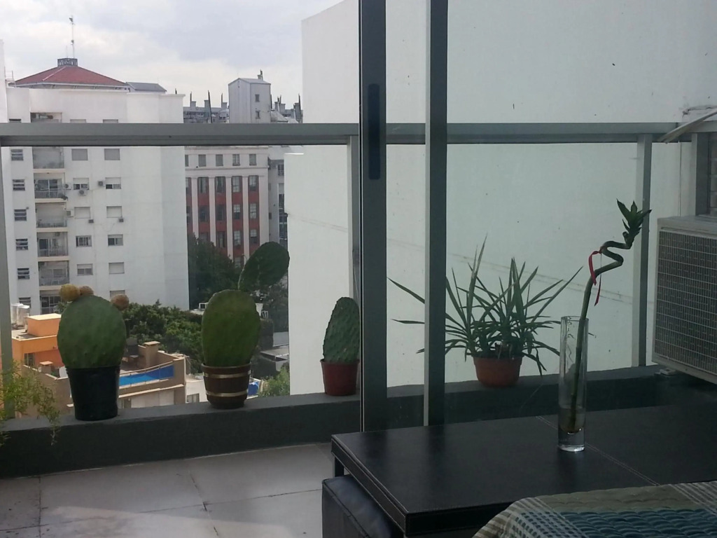 PALERMO AREVALO STUDIO apart