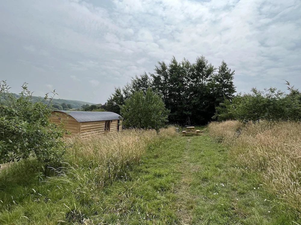 Woodpecker Hill - Apple Orchard in Alfriston