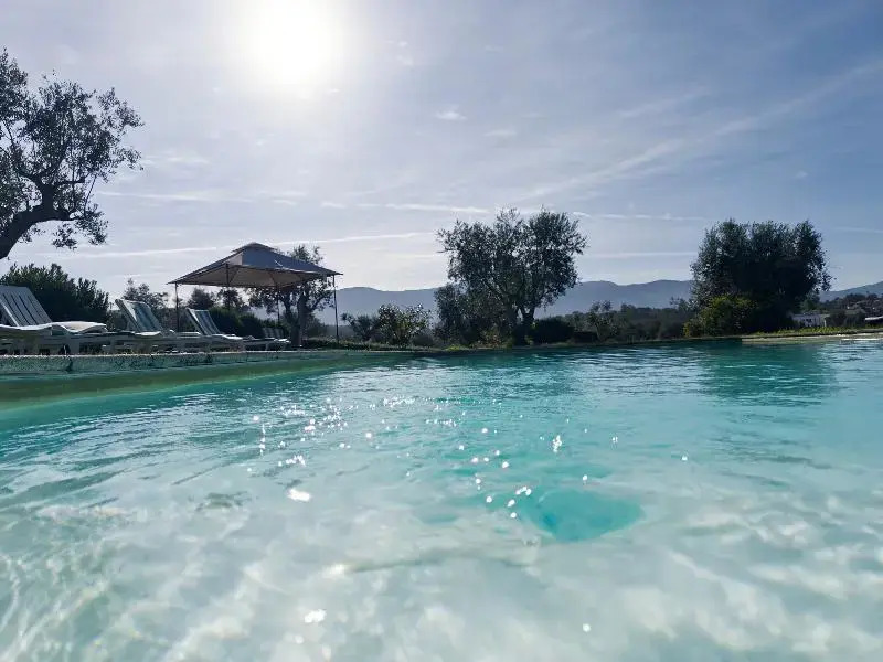 Matias Nature - Raízes da Vinha - Boutique Mountain Stay in Serra da Estrela, Seia