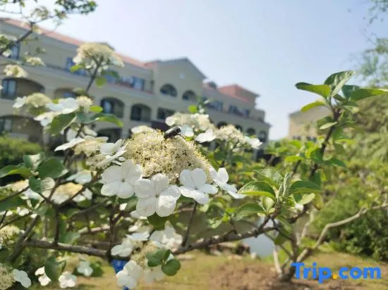 Suzhou Seagull Huxin Island Resort